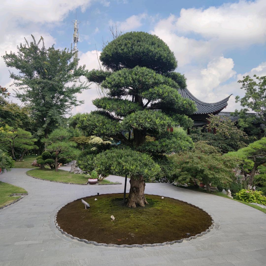 木兮♬ﾉ