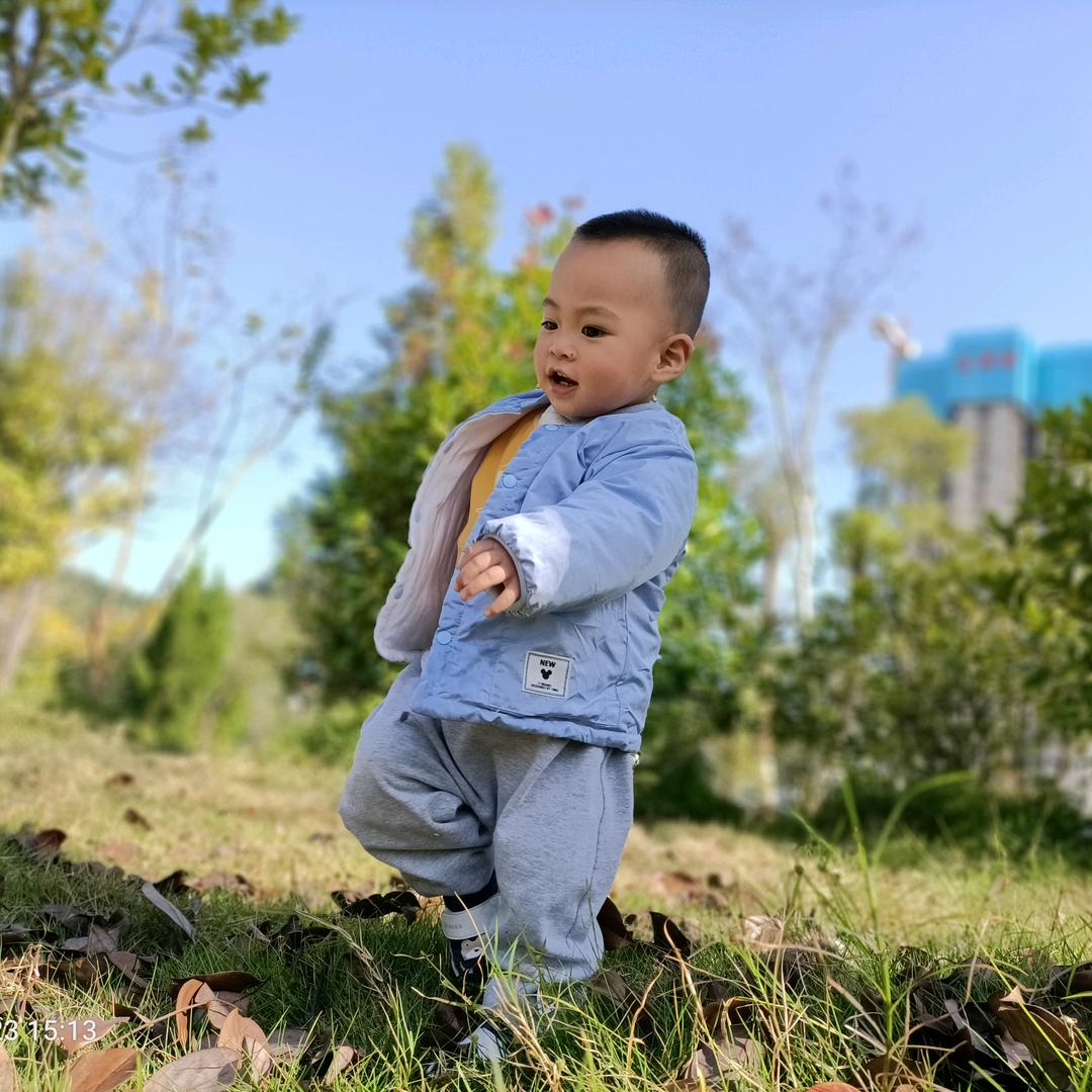 墨墨