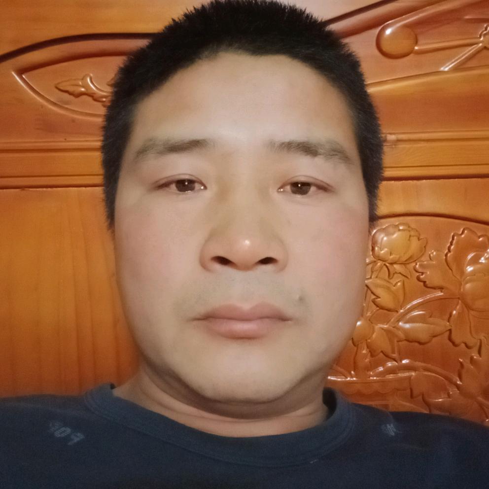 辰龙无悔