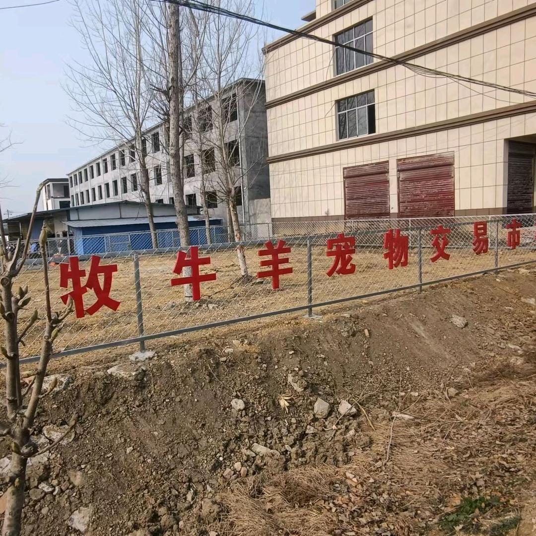 赵集大牧牛羊宠物交易市场