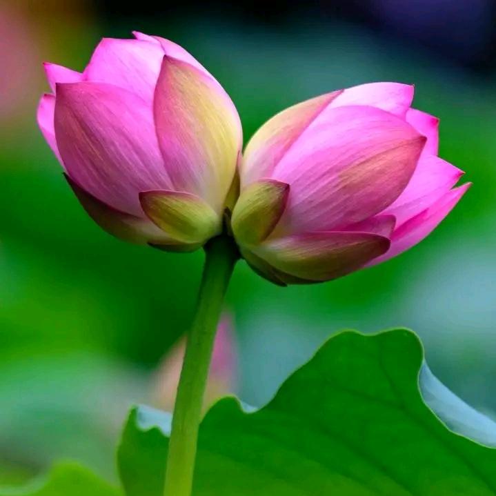 蔚蓝的天空巜拒绝私聊》