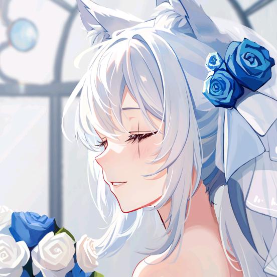 鸽子