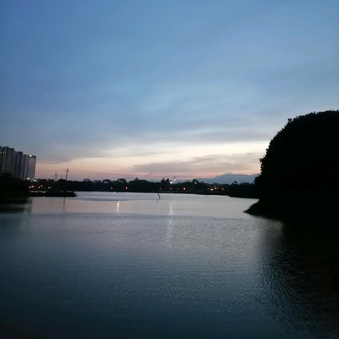 用户461818梅子