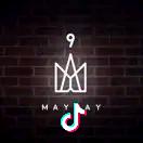 吾家有茄初长成🍅