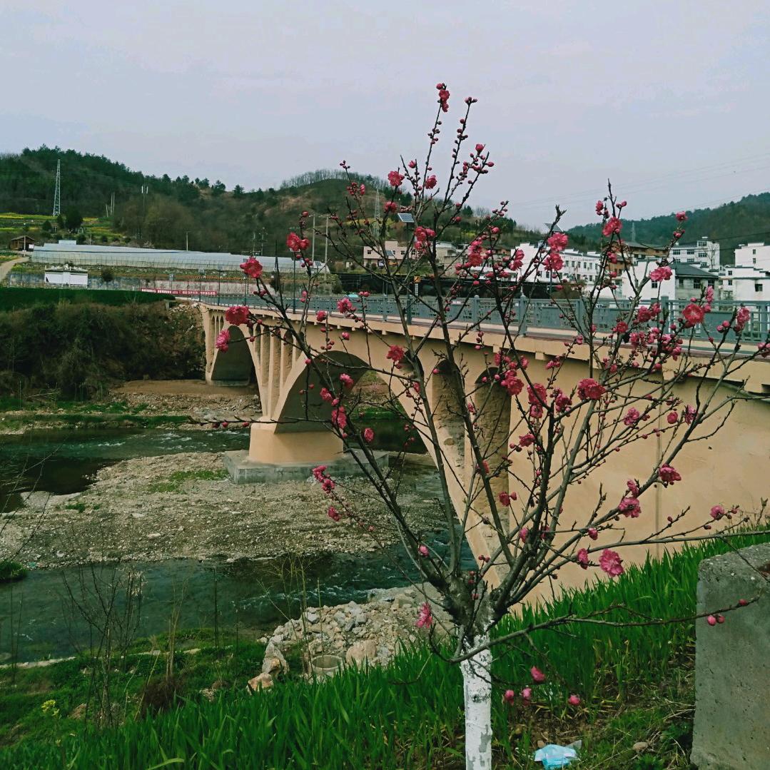 付德瑞