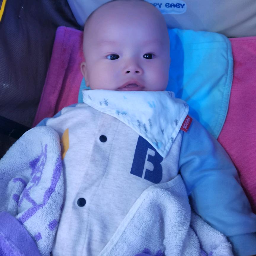 折翼的鹰
