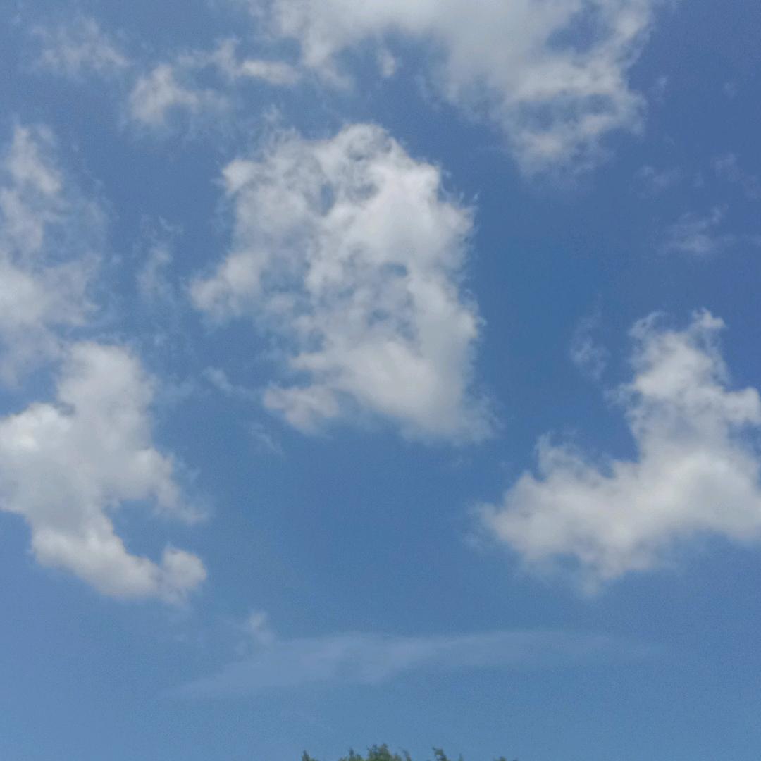 成长记