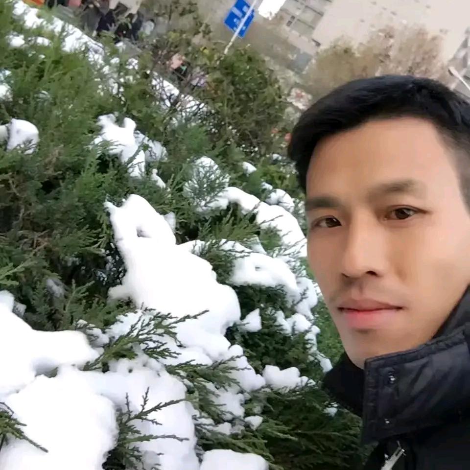 江门｜砖家老陈