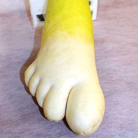 奥特曼🌵