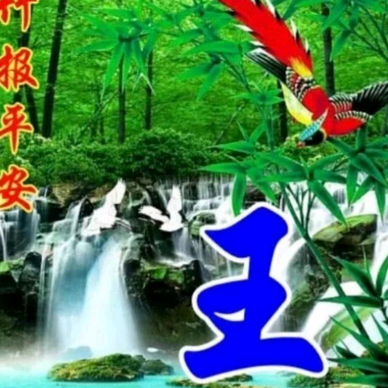 ꧁༺顾美丽༻꧂