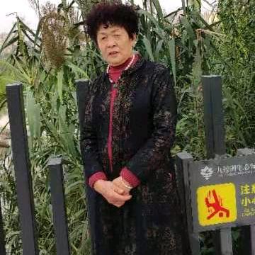 蒲