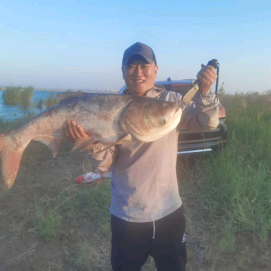 小福鑫（刘教鲢）