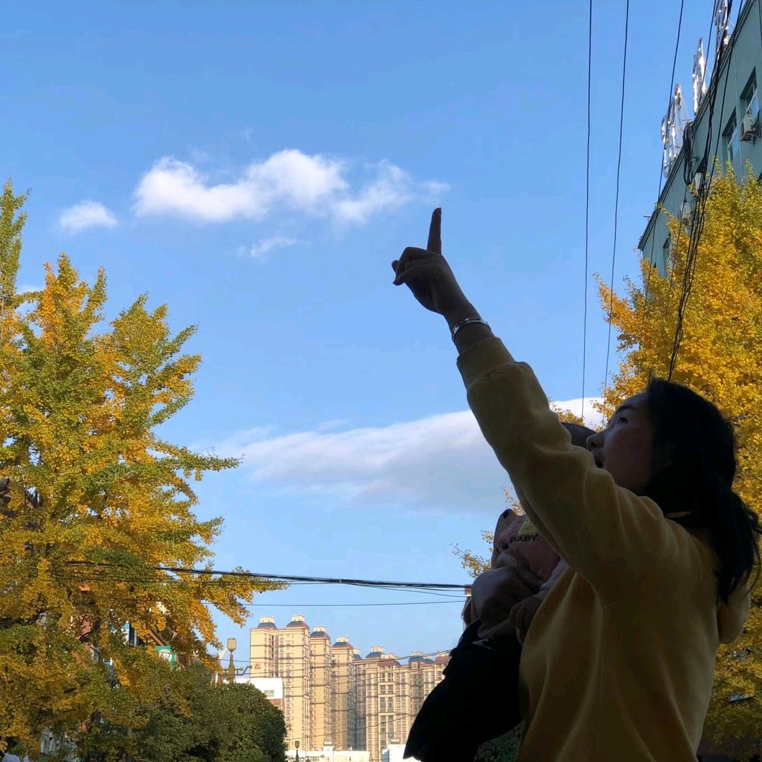 桐桐妈记录生活