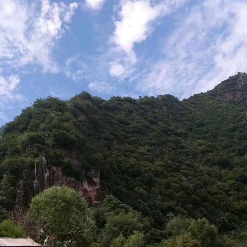 中原教育