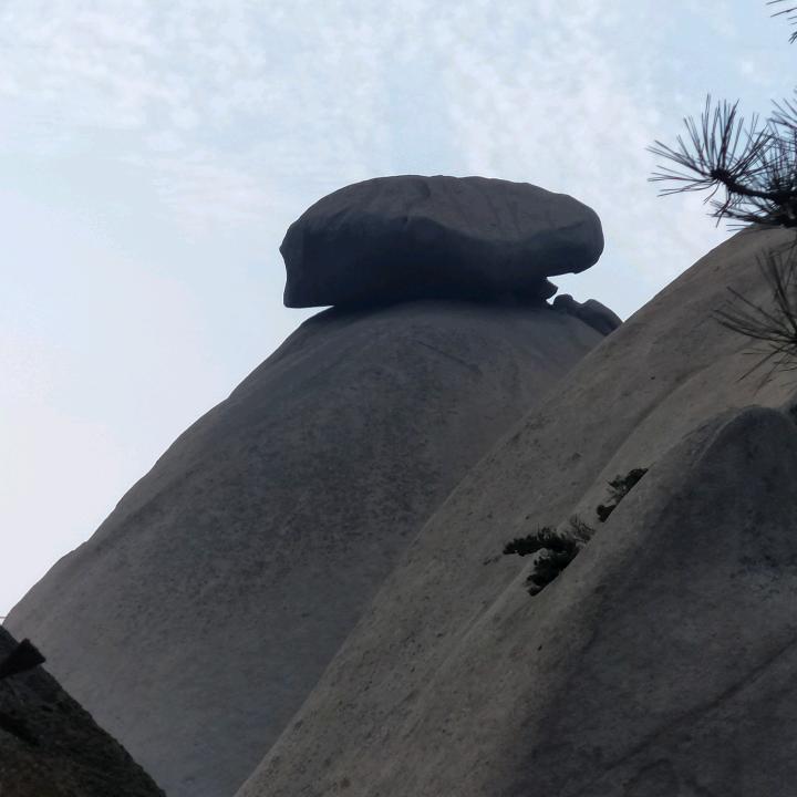 口天宝