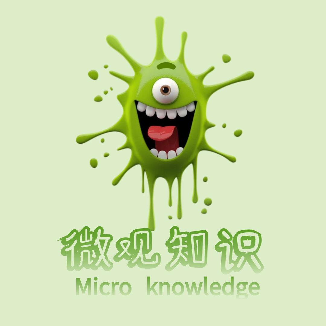 微观知识