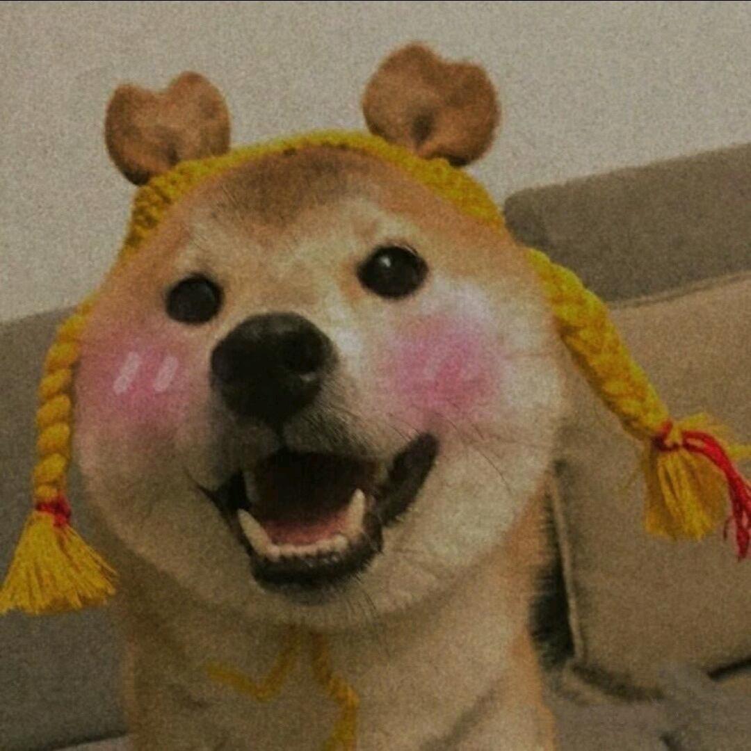 我我我还能睡
