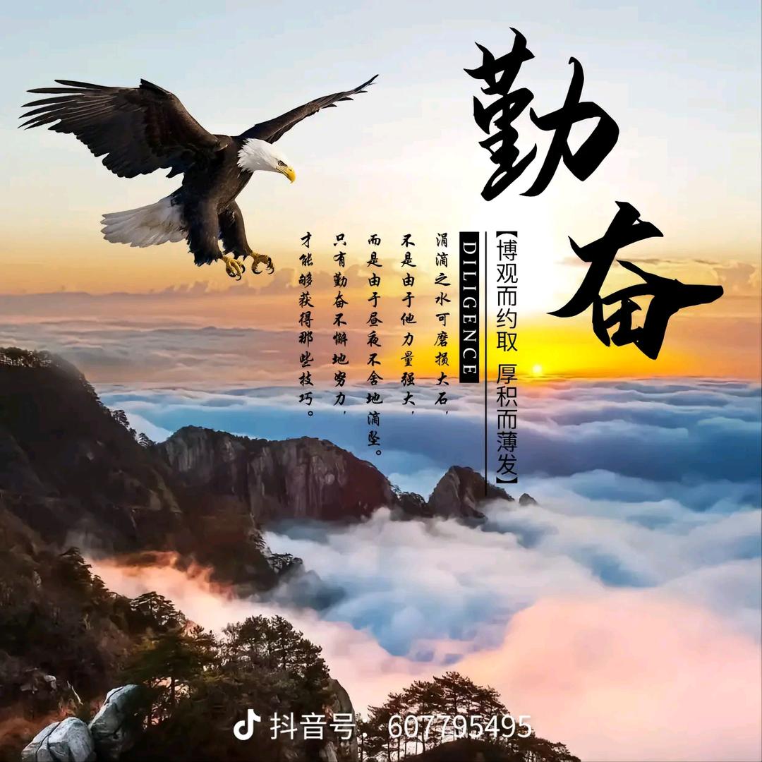 奋斗中的彬头像