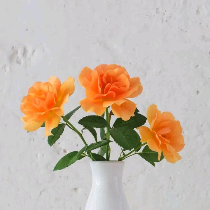 快乐每一天