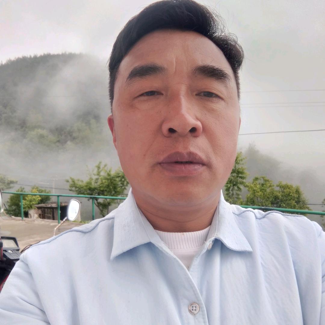 向运朋