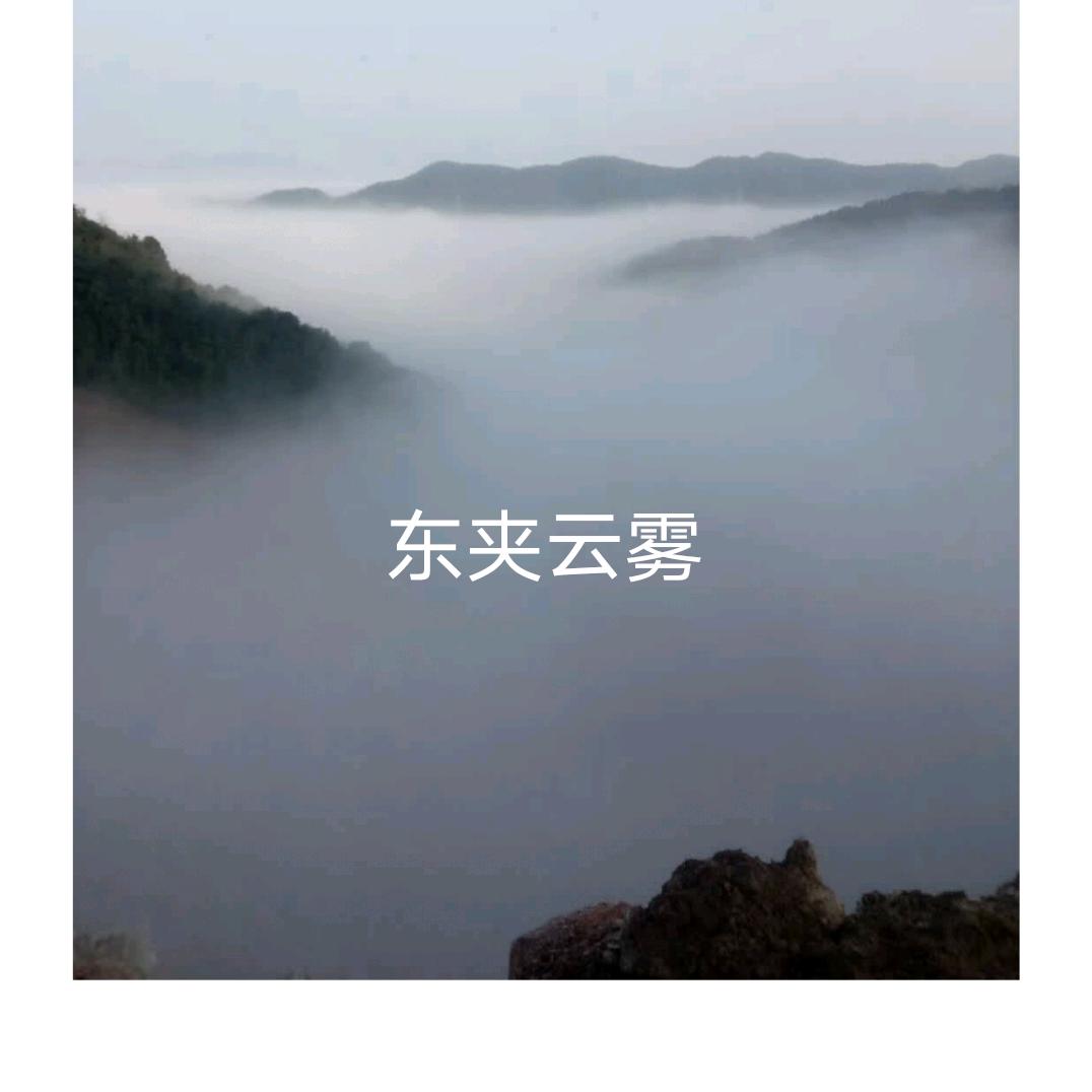 东夹雲雾