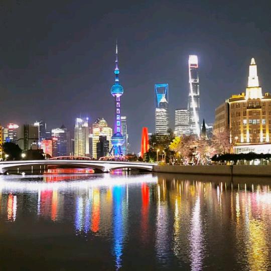 努力的小猪崽崽