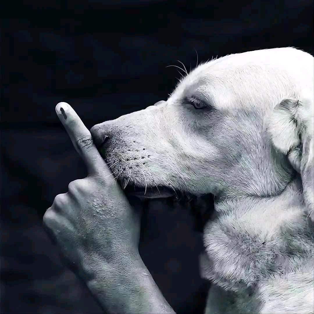 粗人