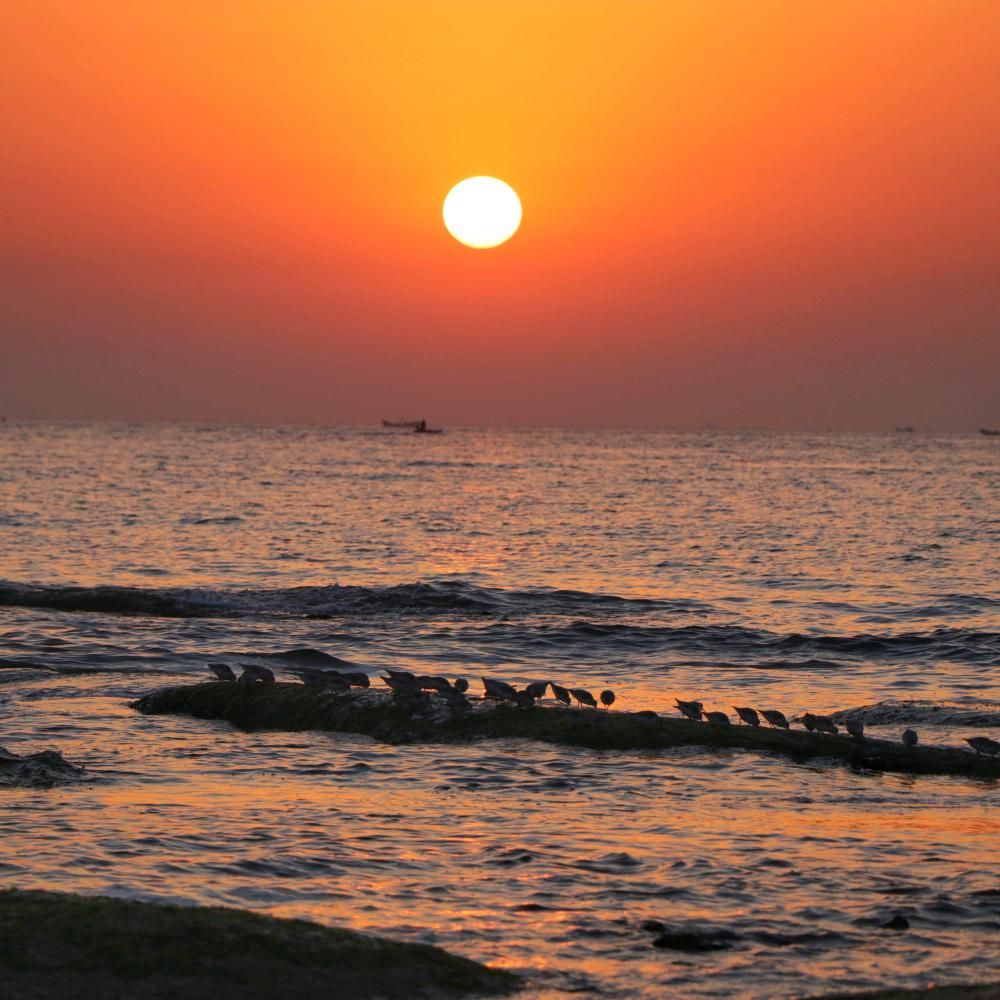 魅力日照  阳光海岸