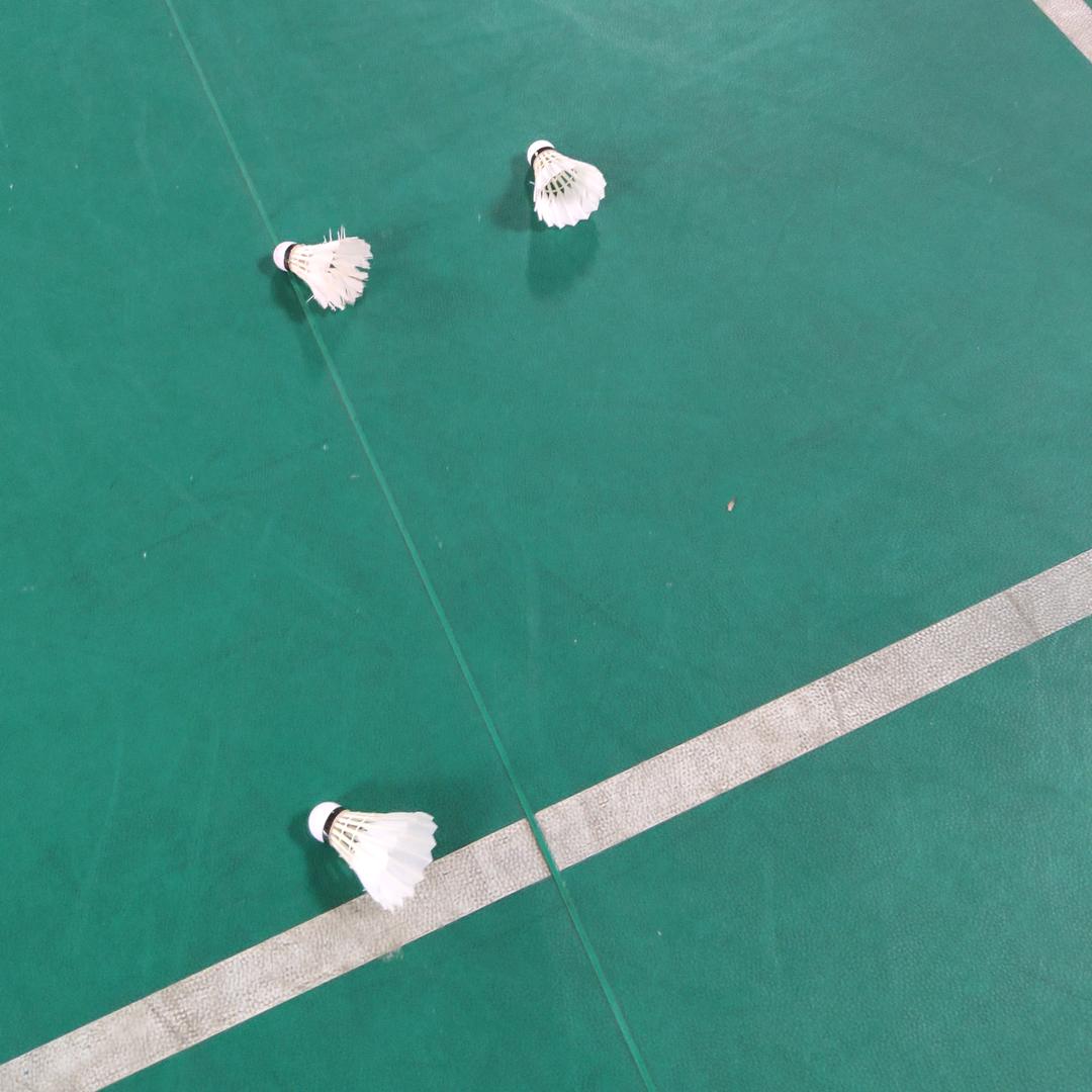 芒果虫🏸