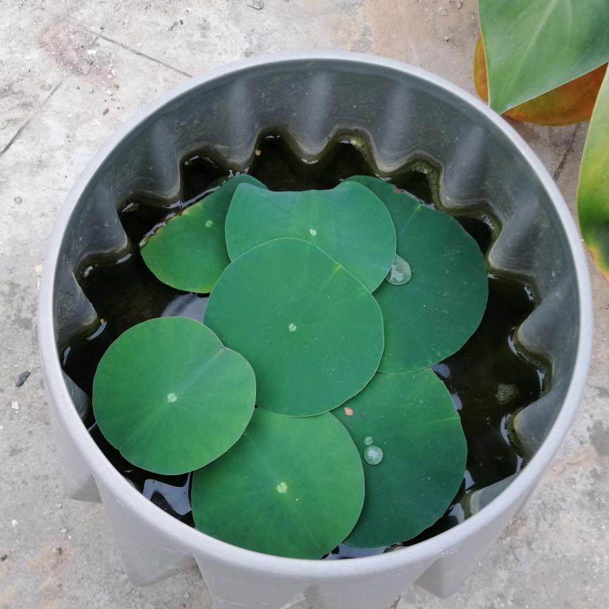 祝福满满