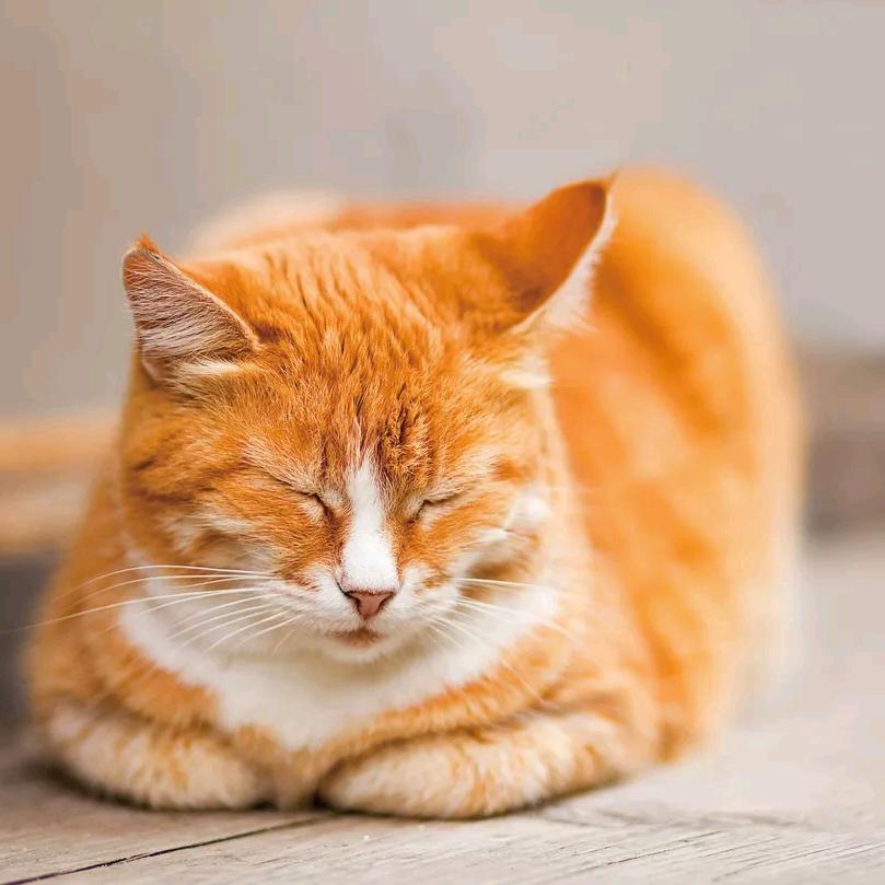 🌈财运滚滚🌈