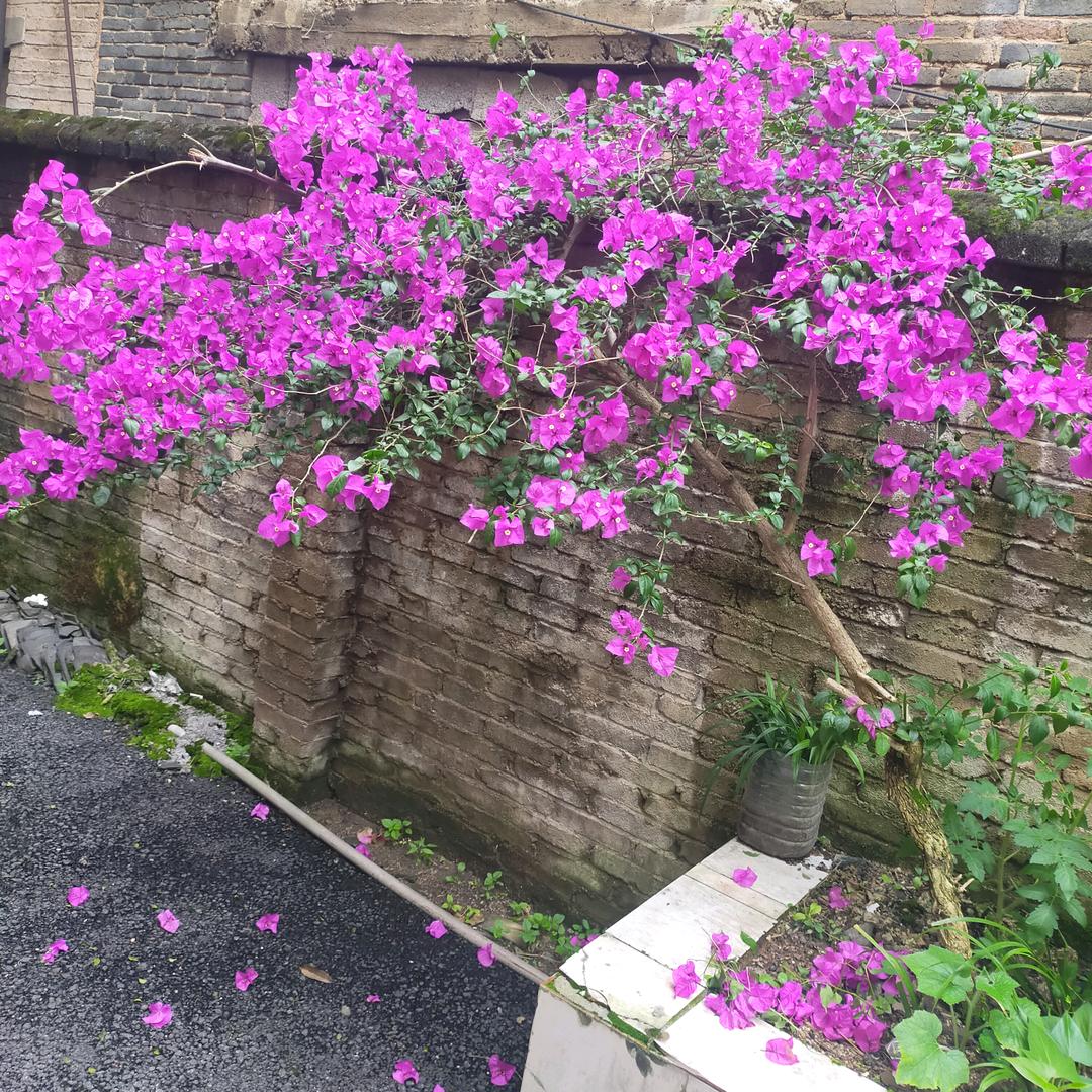 幸福快乐一天