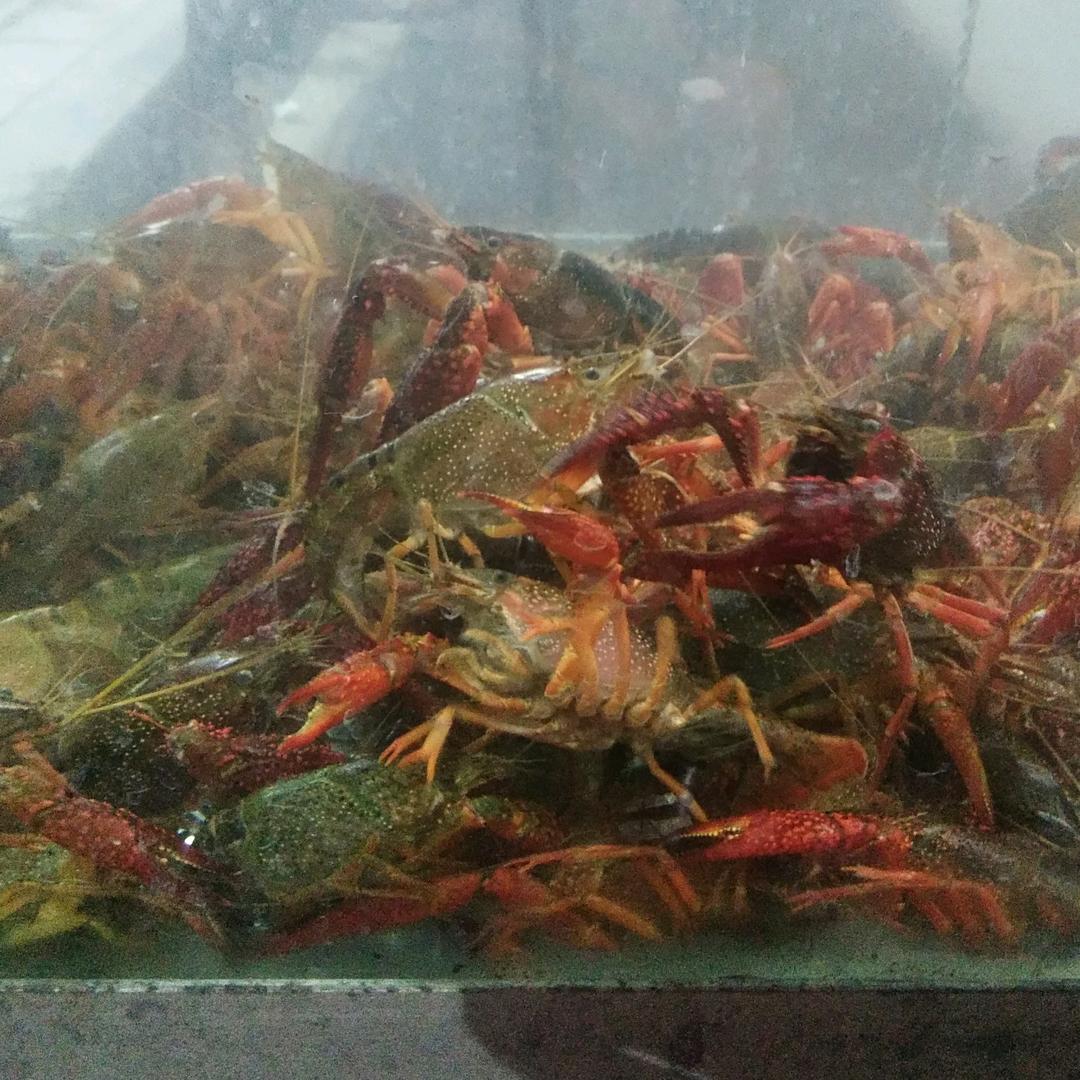 风顺烧烤