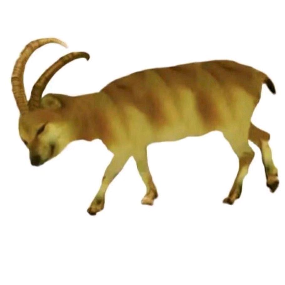 无语怪-toni（Ming/可爱侵略症版