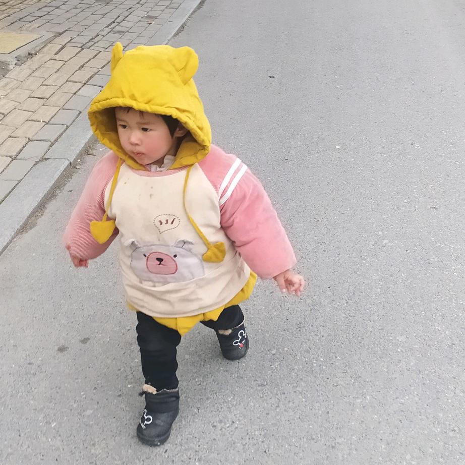 贾贾