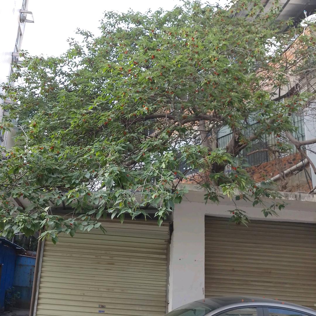 臻享住·广南宾馆客运站店)专用号