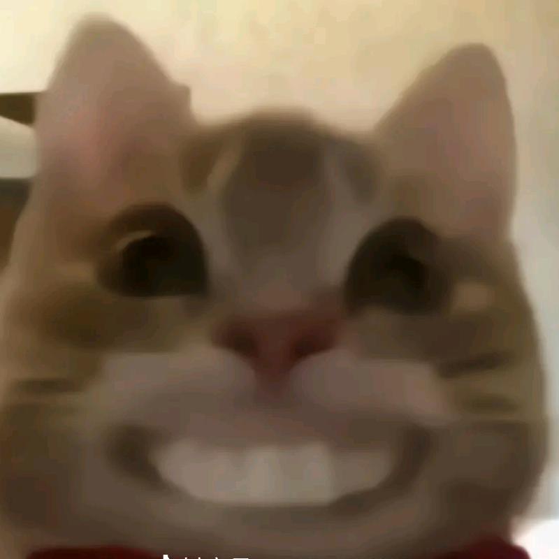 额mm