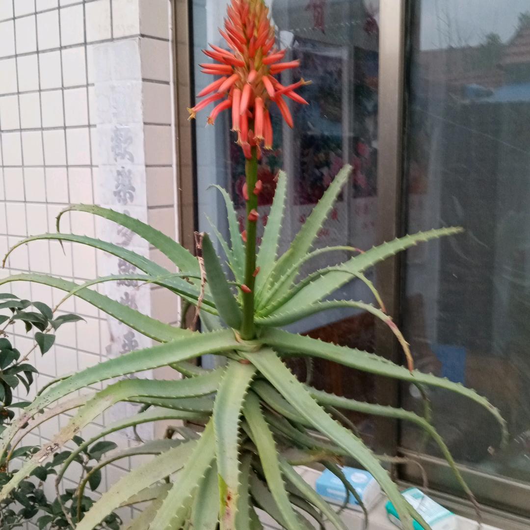 今天最好