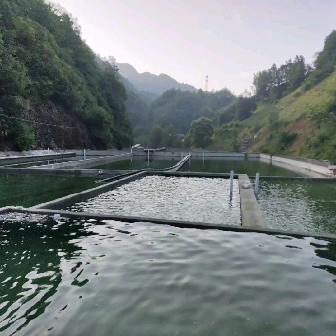 镇巴县丰海源渔业