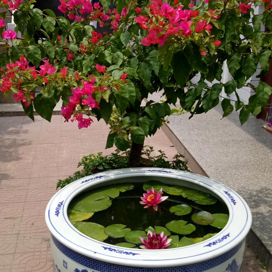 蓝天