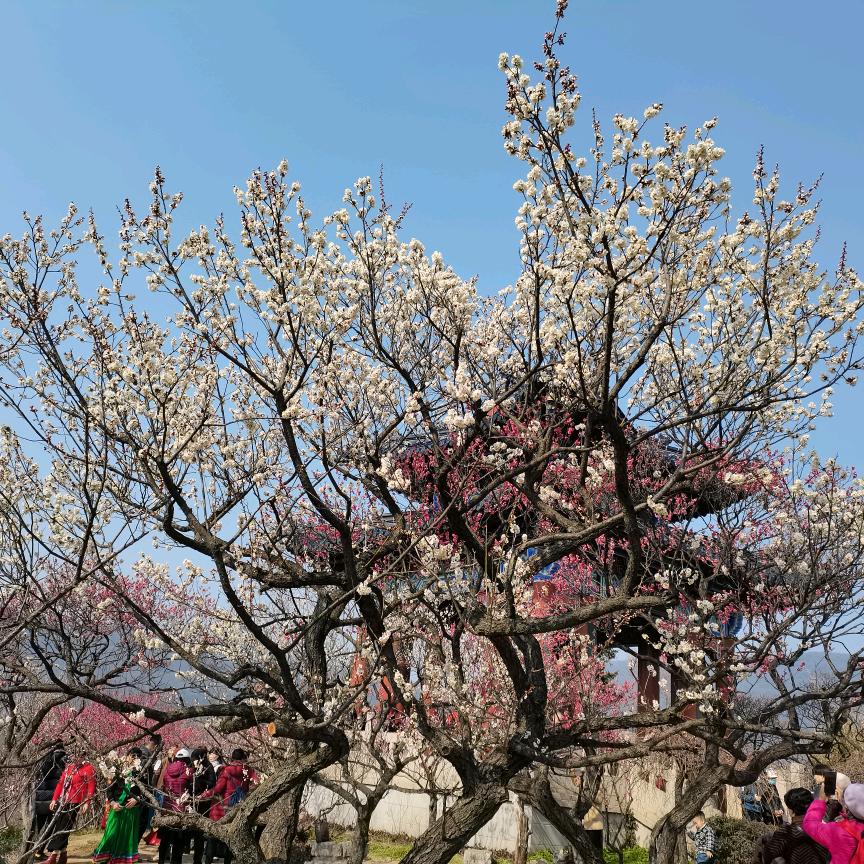花钱