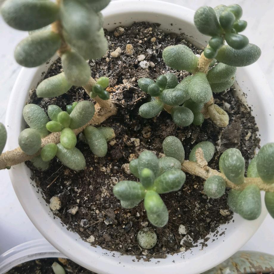 天各一方
