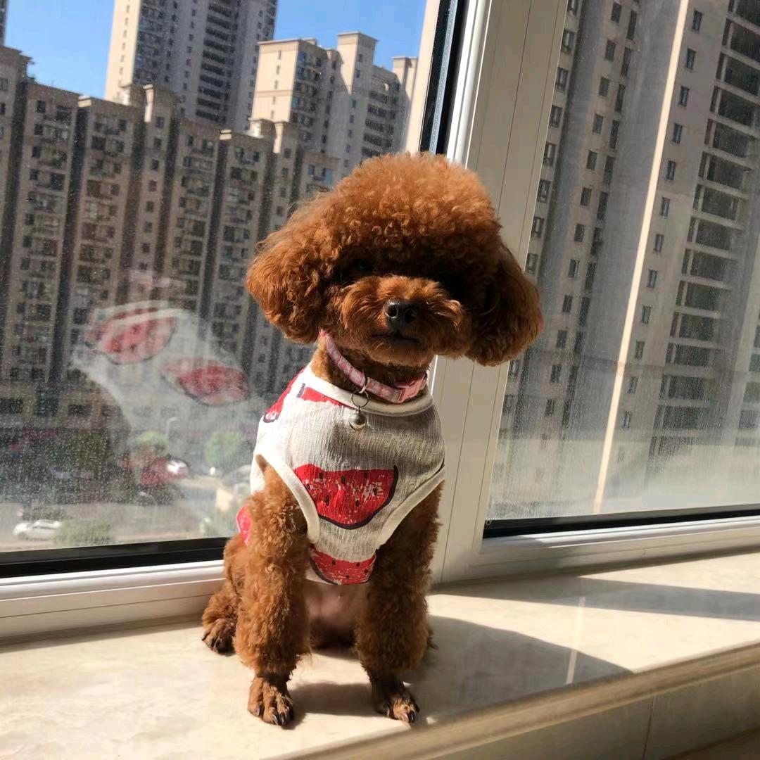 似水年华（芬）