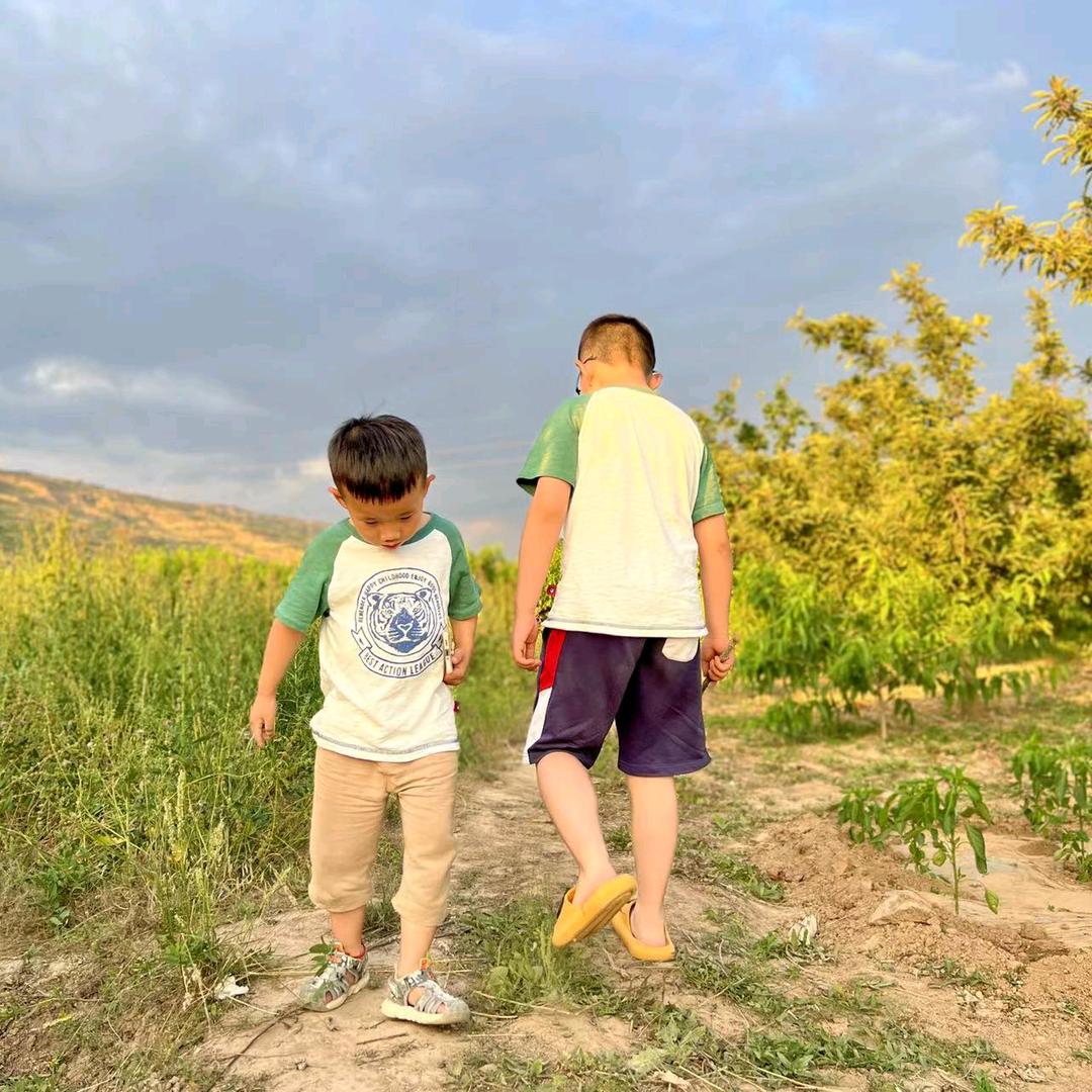 缤纷花季蝴蝶兰