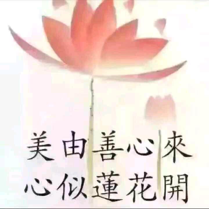 美好人生从头开始