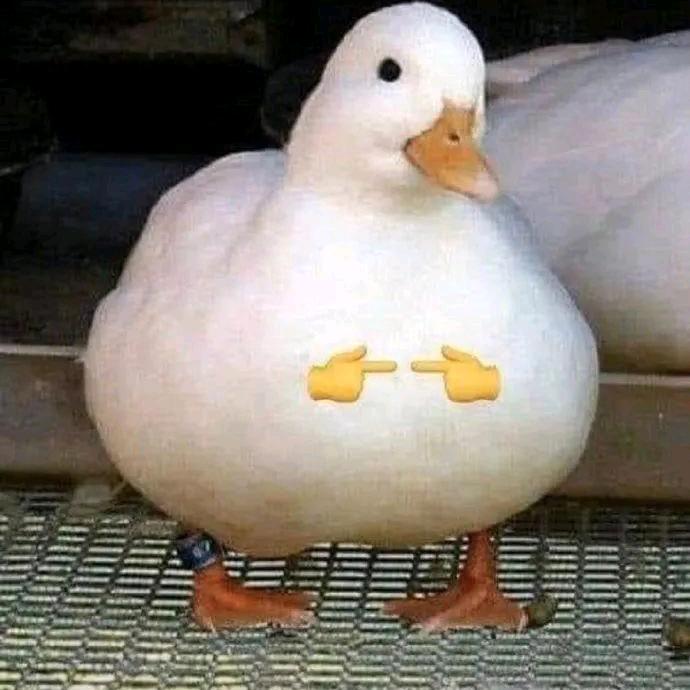 quack