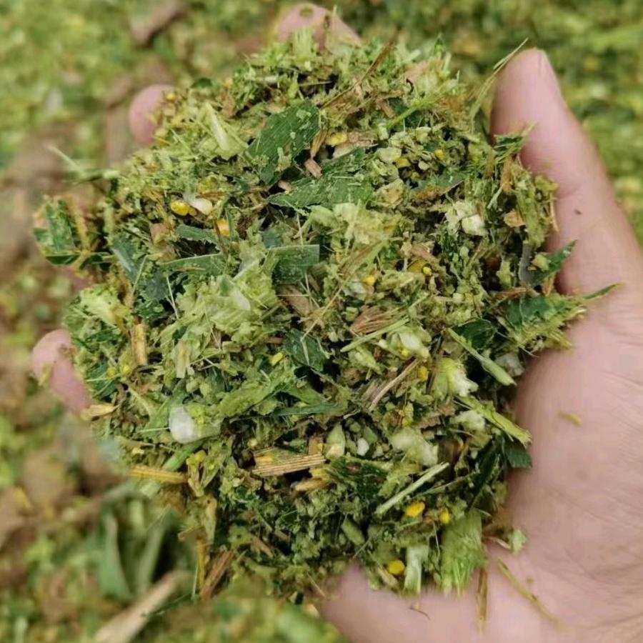 南福地草业