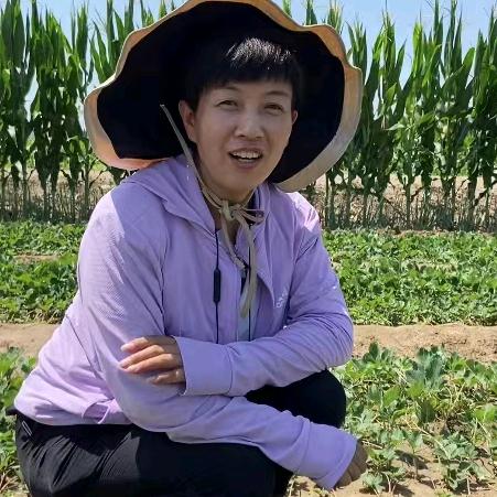 启龙一姐管草莓