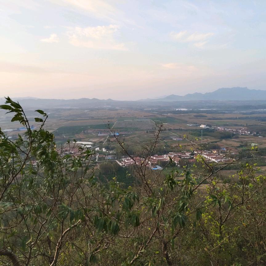 掉渣烧饼（麦香红星店）