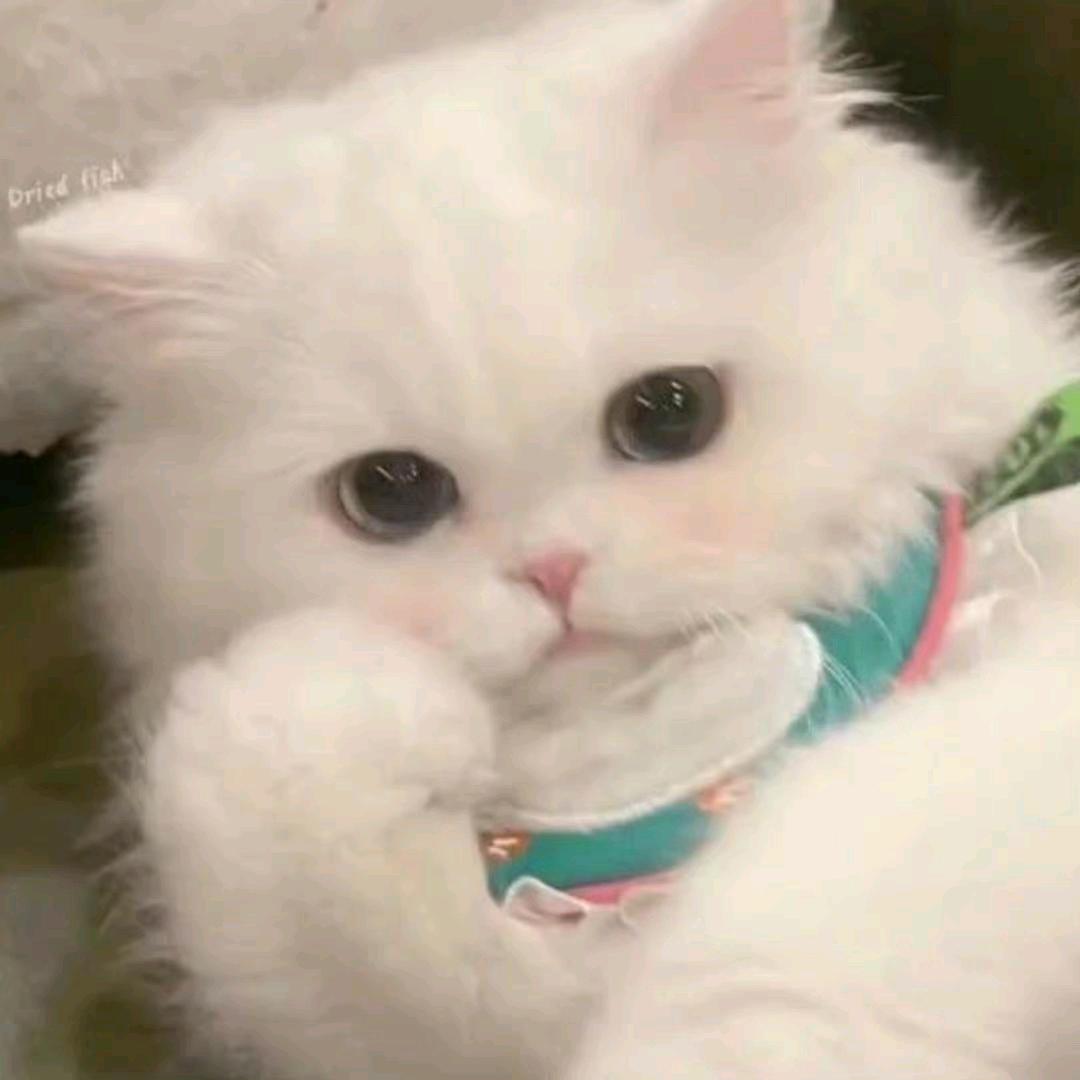 某时某刻